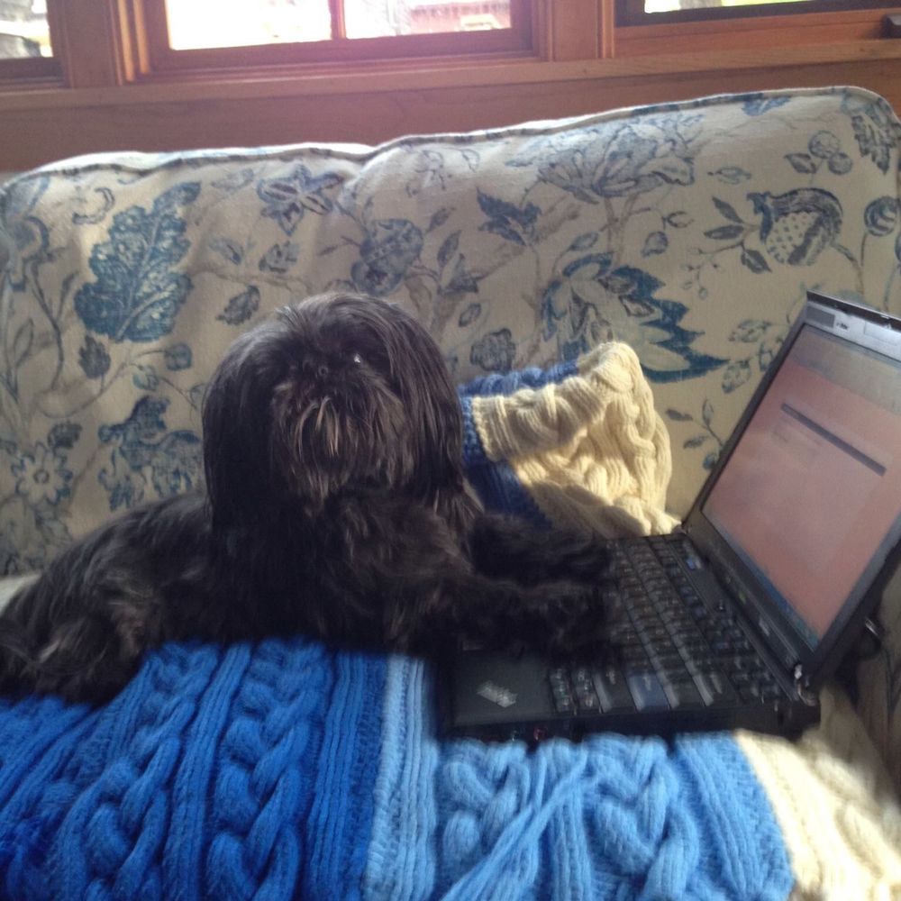 Meet your Posher, Lola